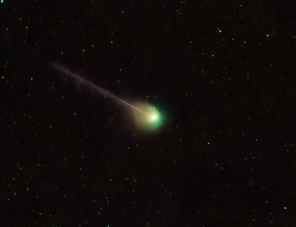 Asher Albrecht

Image of the rare and newly-discovered comet C/2022 E3 (ZTF), captured by an teenage amateur astrophotographer in Canton last Saturday night.